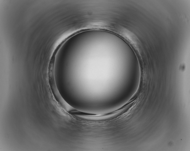X0000097921336200803141432