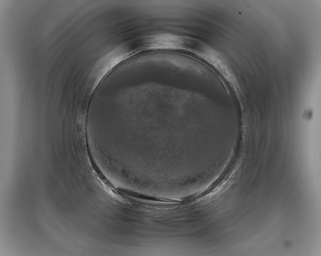 X0000097921337200803141432