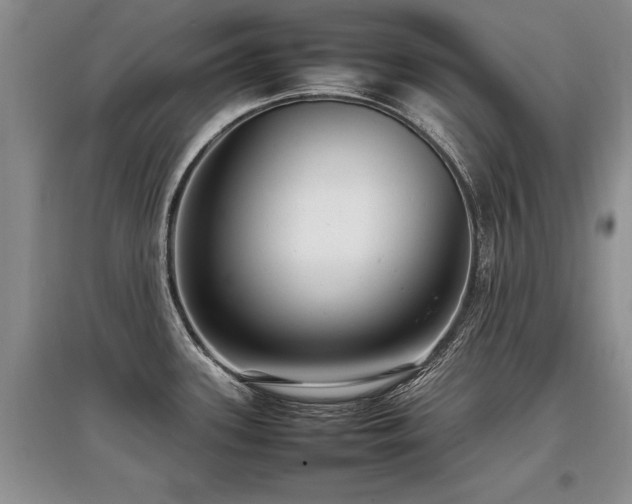 X0000097921339200803141432