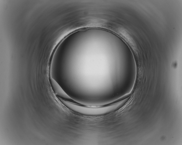 X0000097921340200803141432