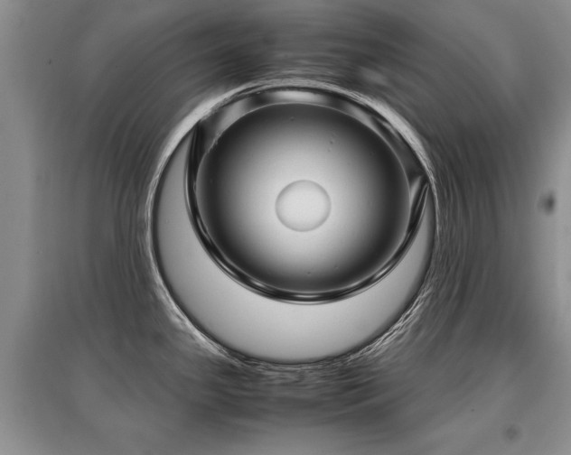 X0000097921341200803141432