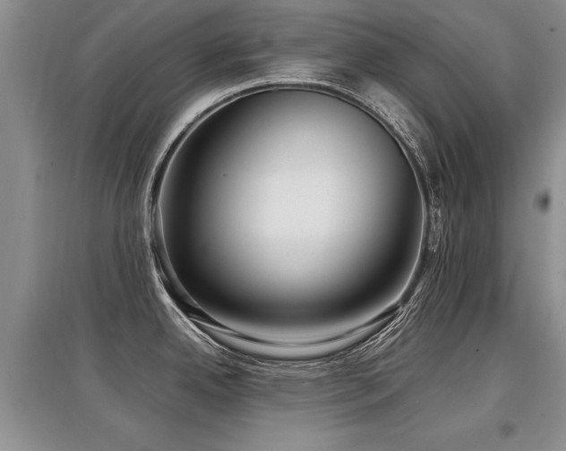 X0000097921342200803141432