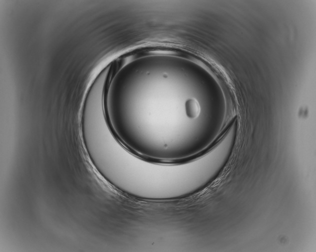 X0000097921344200803141432