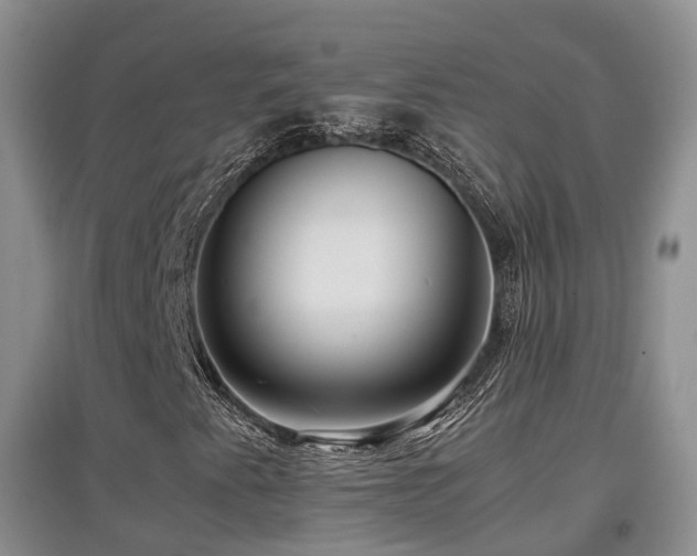 X0000097921345200803141431