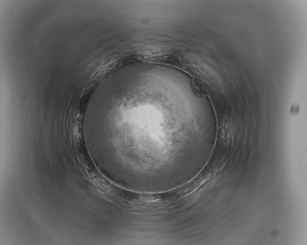 X0000097921346200803141431
