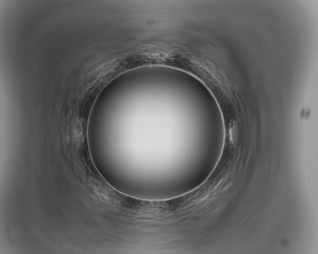 X0000097921347200803141431