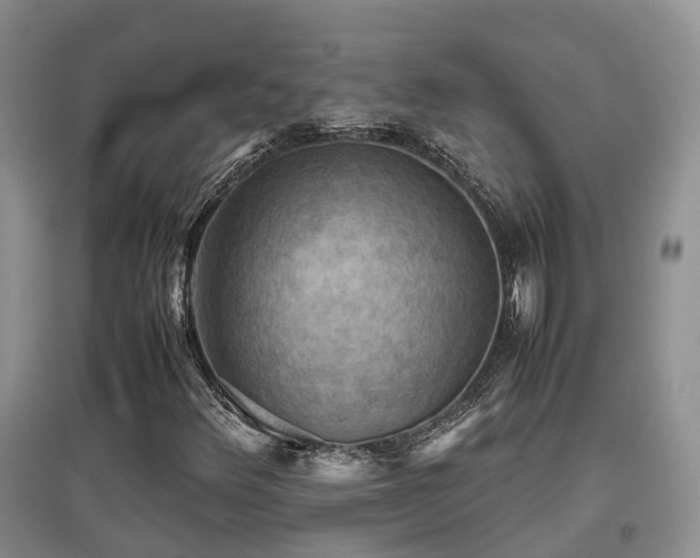 X0000097921348200803141431