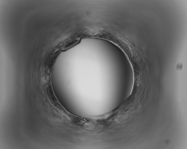 X0000097921349200803141431