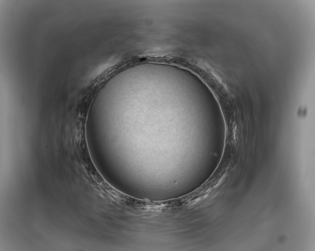 X0000097921350200803141431