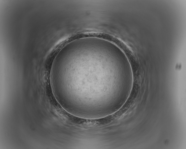 X0000097921351200803141431