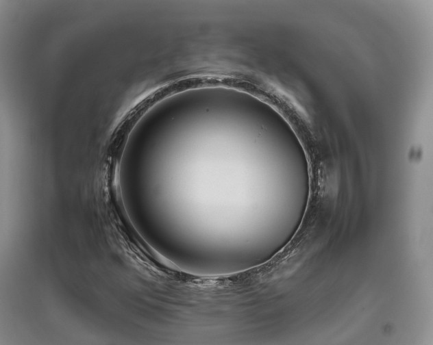 X0000097921352200803141431