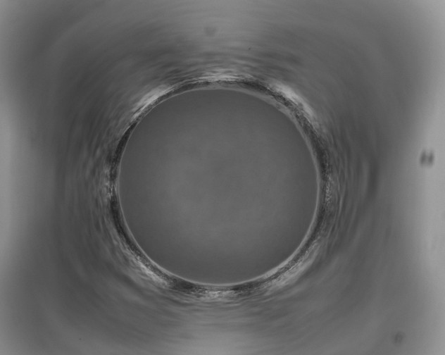X0000097921353200803141431