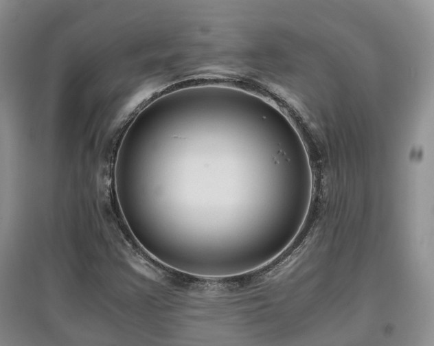 X0000097921355200803141431