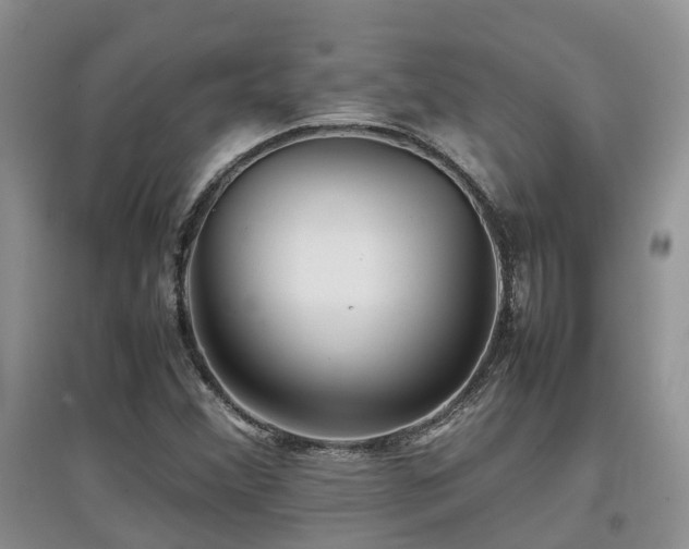 X0000097921356200803141431