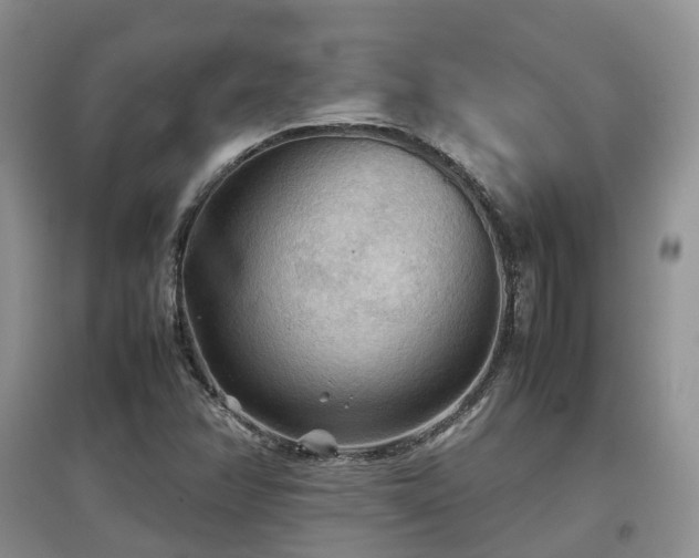 X0000097921358200803141431