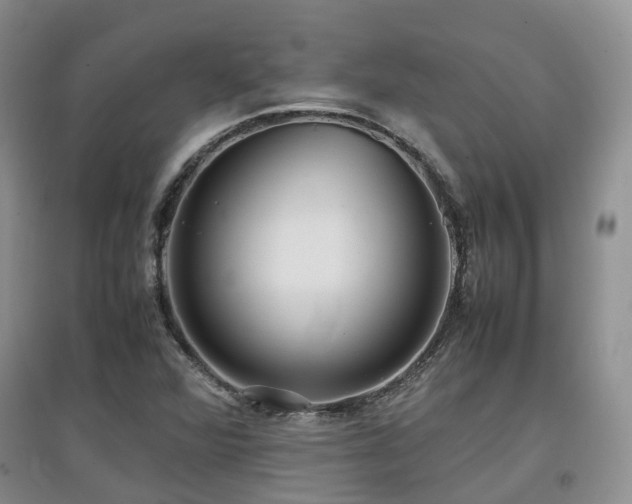 X0000097921360200803141431