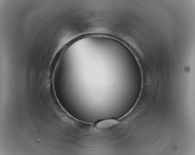X0000097921364200803141431