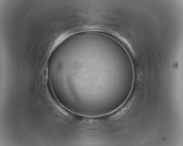 X0000097921365200803141431