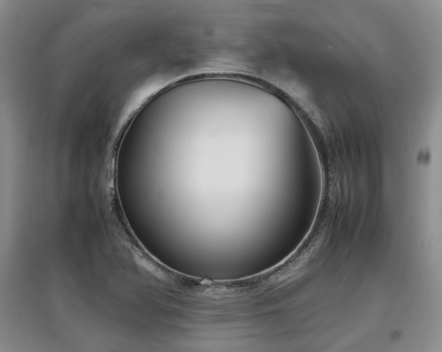 X0000097921366200803141431