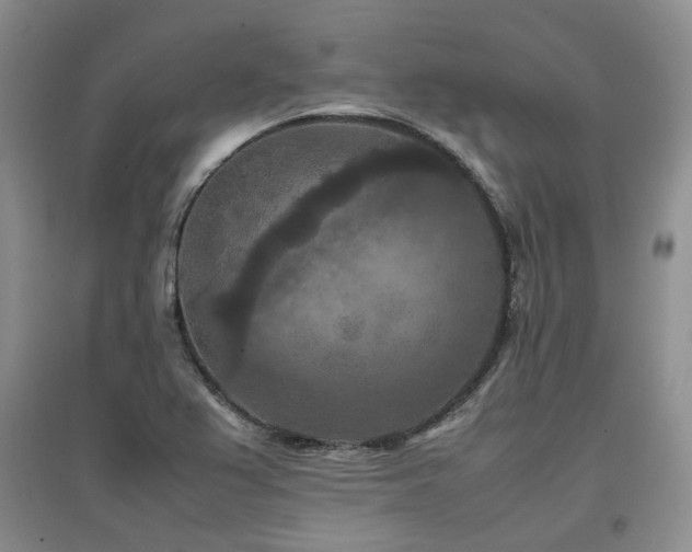 X0000097921367200803141431