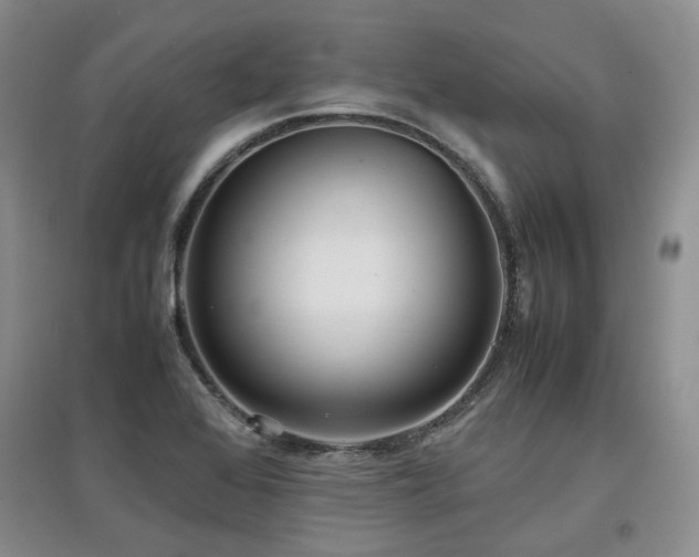 X0000097921368200803141431