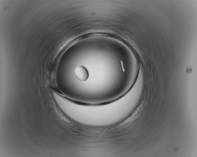 X0000097921369200803141431