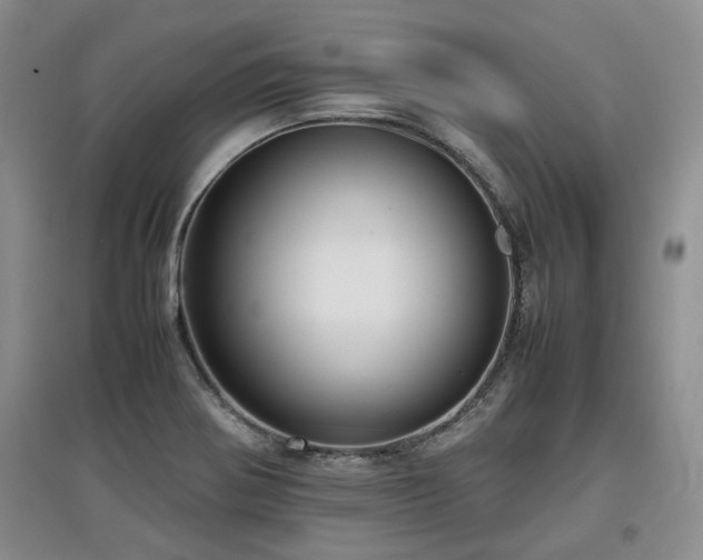 X0000097921370200803141431