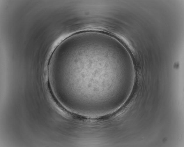 X0000097921371200803141431