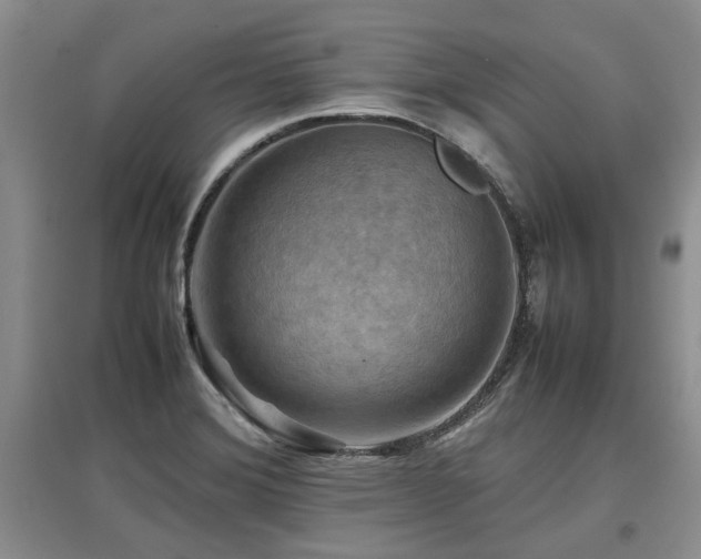 X0000097921372200803141431