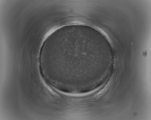 X0000097921373200803141431