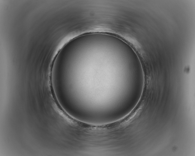 X0000097921374200803141431