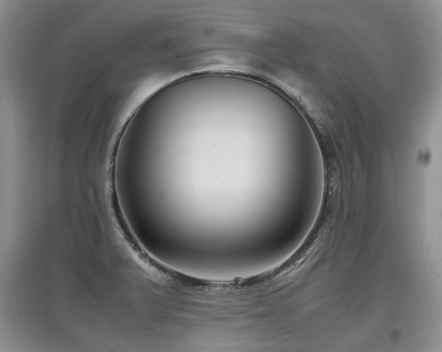 X0000097921375200803141431