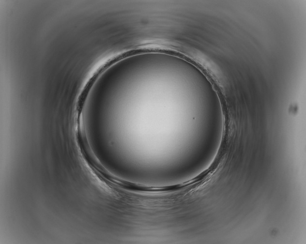 X0000097921376200803141431