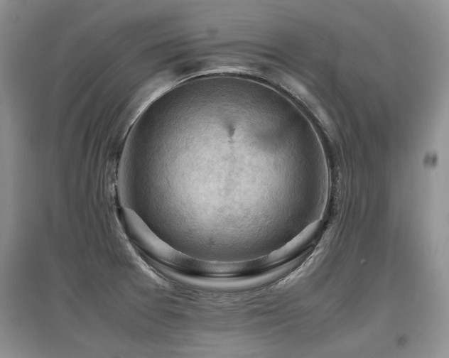 X0000097921377200803141431