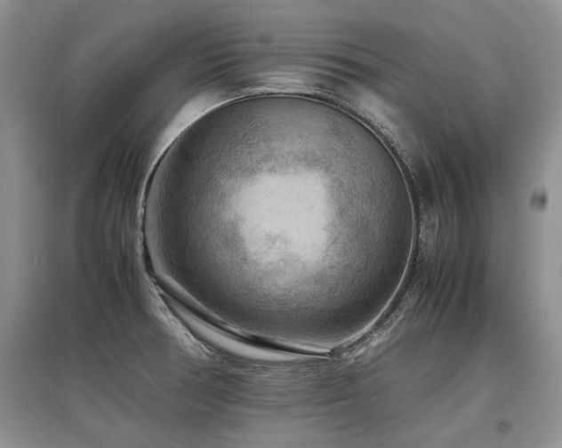 X0000097921378200803141431