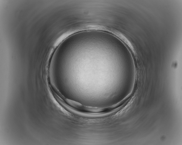 X0000097921381200803141431