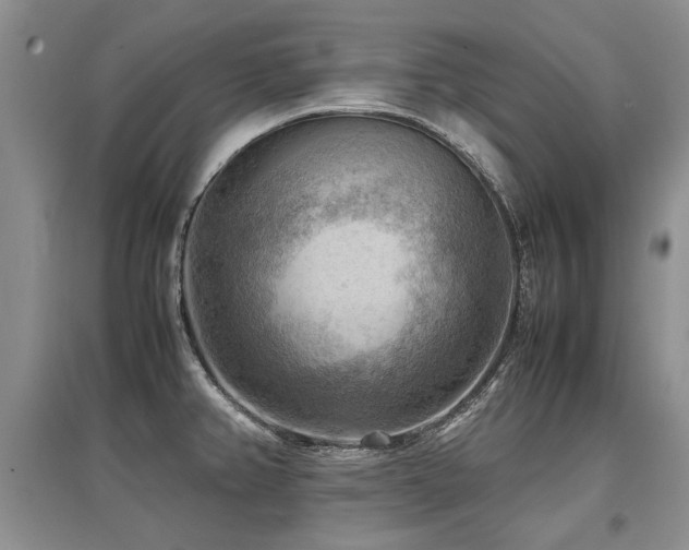 X0000097921382200803141431