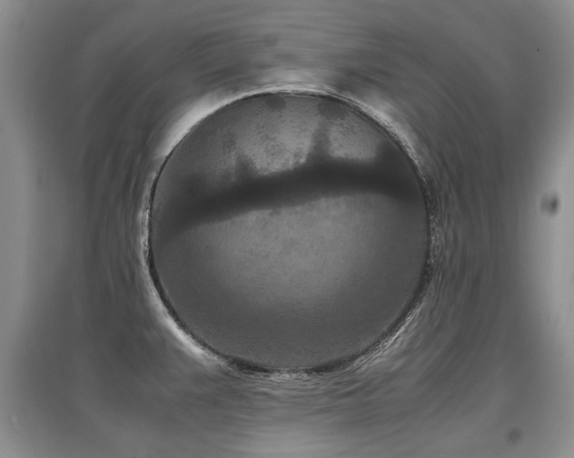 X0000097921383200803141431