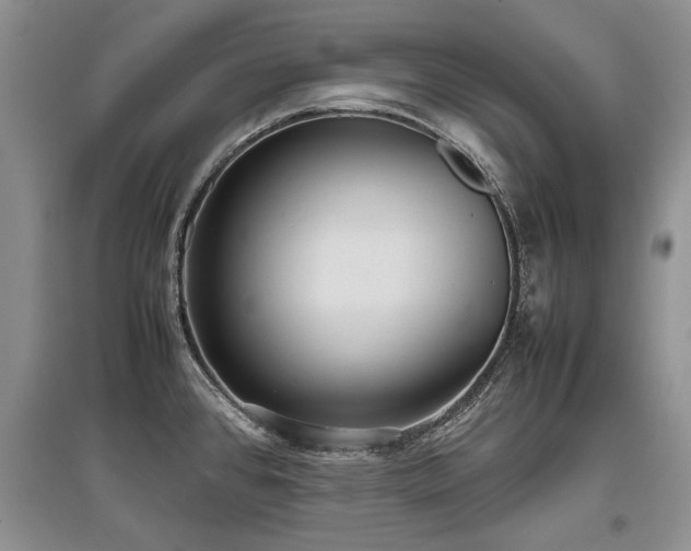 X0000097921384200803141431