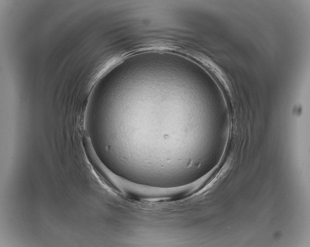 X0000097921385200803141431