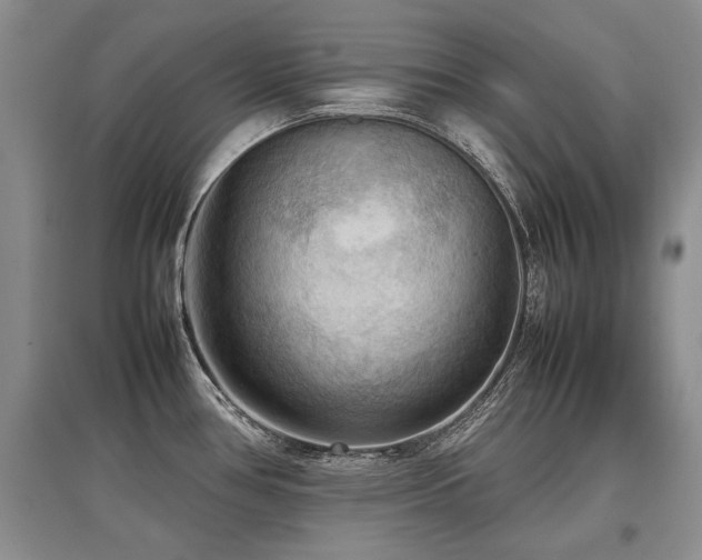 X0000097921386200803141431