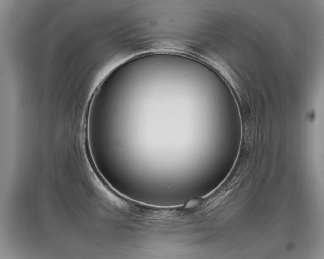 X0000097921387200803141431