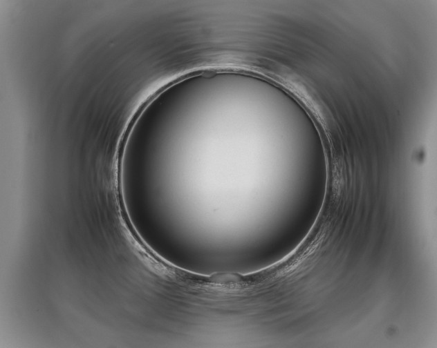 X0000097921388200803141431