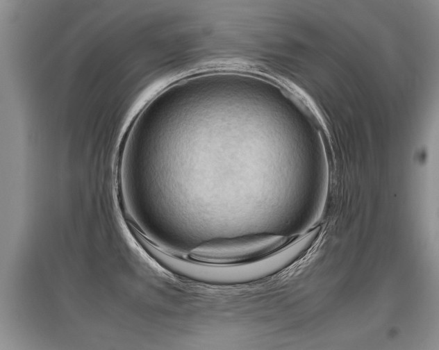 X0000097921389200803141431
