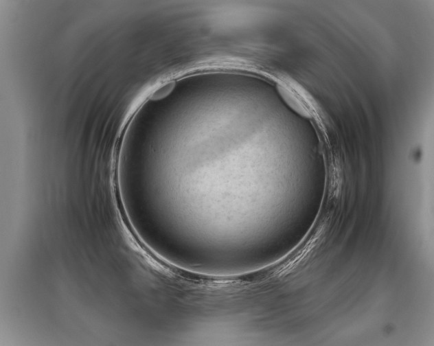 X0000097921390200803141431