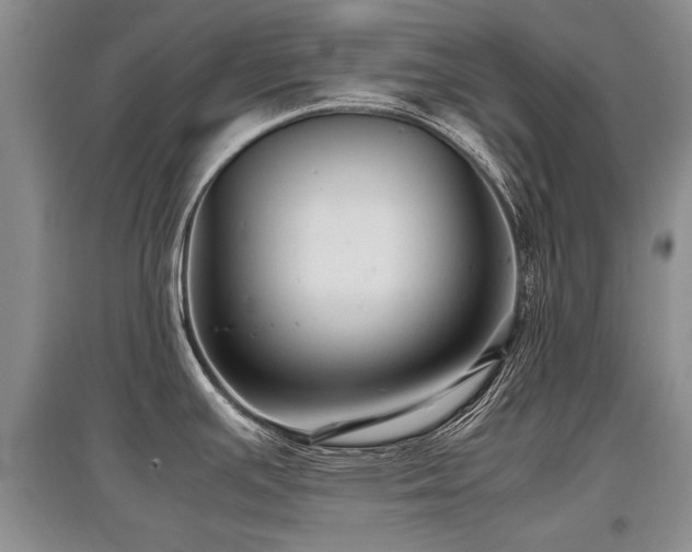 X0000097921391200803141431
