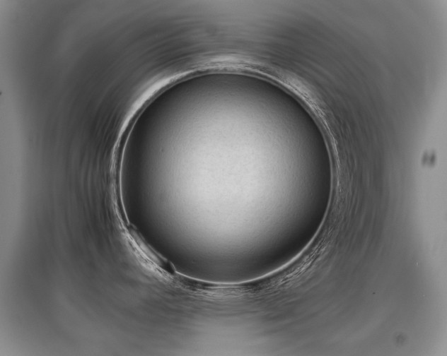 X0000097921392200803141431