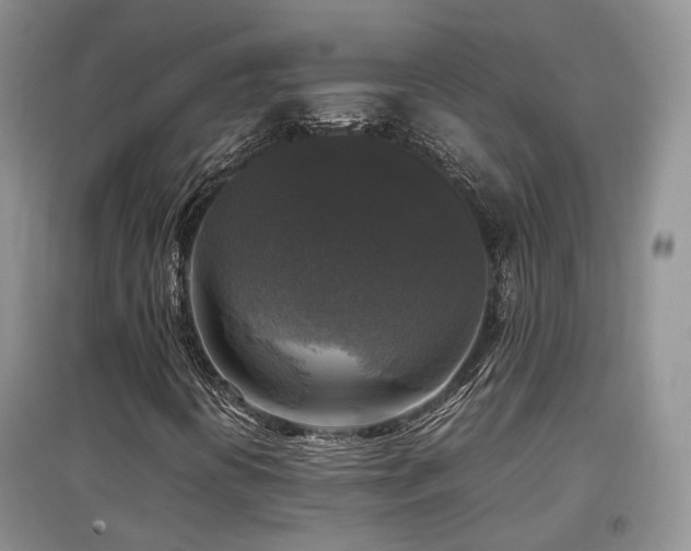 X0000097921394200803141430