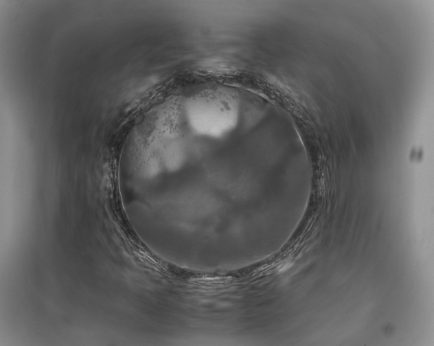 X0000097921397200803141430
