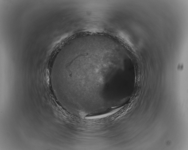 X0000097921398200803141430